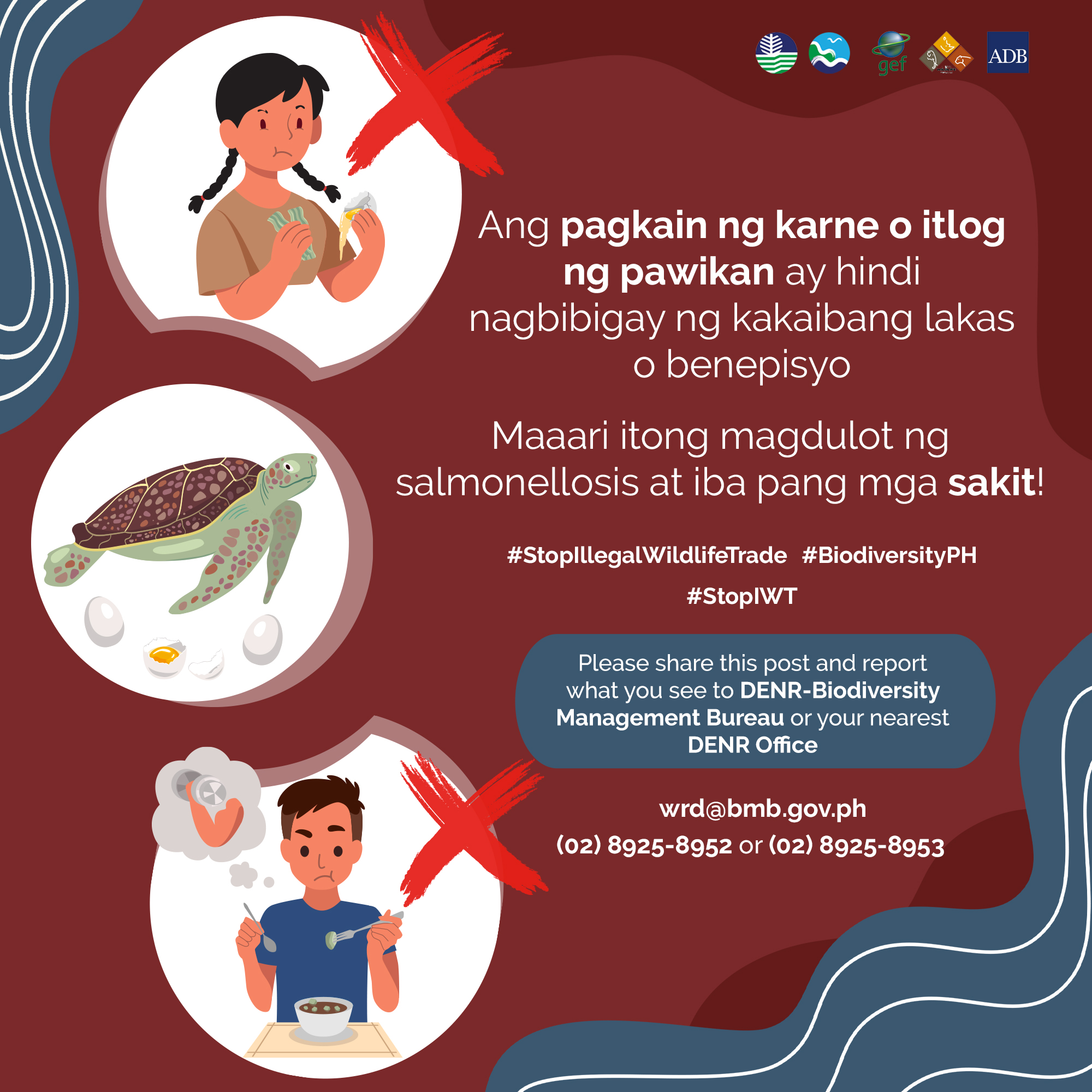 TRADITIONAL BELIEFS - Marine Turtles (Tagalog)